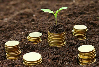 Understanding Microloans: A Comprehensive Guide